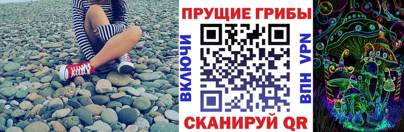 блэк спрут сайт  Константиновск  Псилоцибиновые грибы Cubensis 